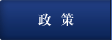 政策