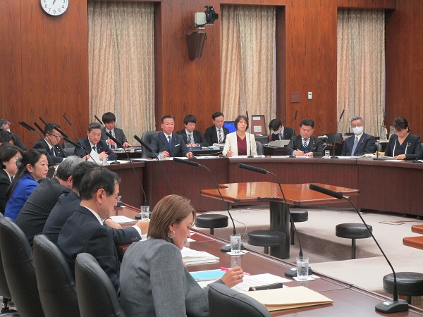 参議院 国民生活・経済及び地方に関する調査会